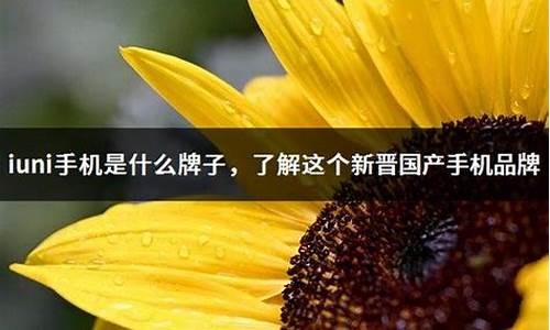 iuni手机是什么牌子的_iuni手机官网首页