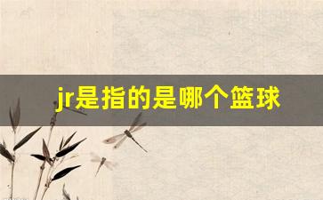jr是指的是哪个篮球明星球员-jr是指的是哪个篮球明星