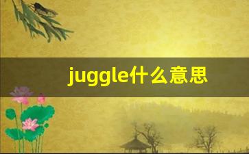 juggle什么意思,juggle中文翻译,juggle用法及例句,juggle怎么读-第1张图片-我的生活随想