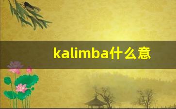 kalimba什么意思,kalimba造句用法,kalimba的发音,kalimba中文翻译-第1张图片-我的生活随想