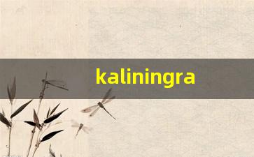 kaliningrad什么意思,kaliningrad造句用法,kaliningrad的发音,kaliningrad中文翻译-第1张图片-我的生活随想