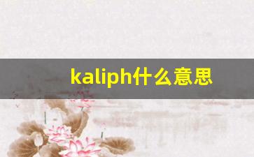 kaliph什么意思,kaliph造句用法,kaliph的发音,kaliph中文翻译-第1张图片-我的生活随想