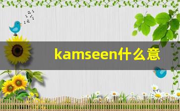 kamseen什么意思,kamseen造句用法,kamseen的发音,kamseen中文翻译-第1张图片-我的生活随想