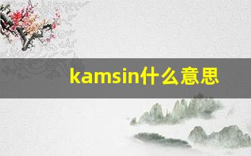kamsin什么意思,kamsin造句用法,kamsin的发音,kamsin中文翻译-第1张图片-我的生活随想