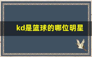 kd是篮球的哪位明星-kd篮球是谁