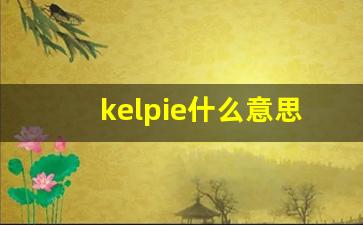 kelpie什么意思,kelpie造句用法,kelpie的发音,kelpie中文翻译-第1张图片-我的生活随想