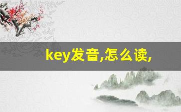 key发音,怎么读,key什么意思,key例句用法-第1张图片-我的生活随想