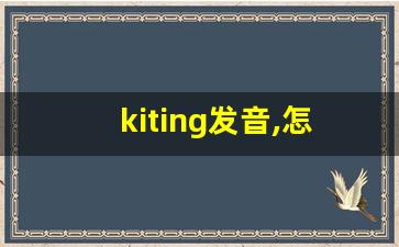 kiting发音,怎么读,kiting什么意思,kiting例句用法-第1张图片-我的生活随想