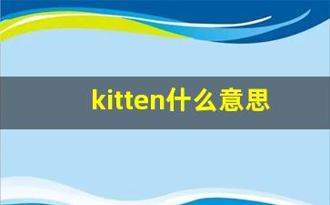 kitten什么意思,kitten中文翻译,kitten用法及例句,kitten怎么读-第1张图片-我的生活随想