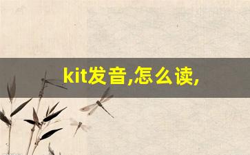 kit发音,怎么读,kit什么意思,kit例句用法-第1张图片-我的生活随想
