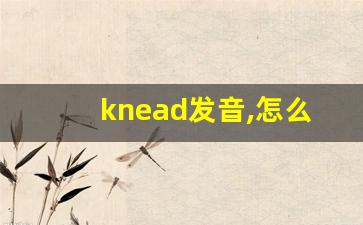 knead发音,怎么读,knead什么意思,knead例句用法-第1张图片-我的生活随想