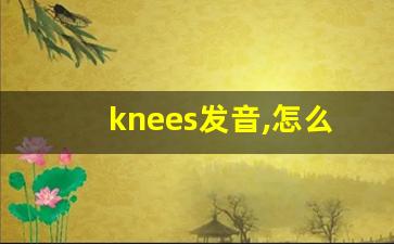 knees发音,怎么读,knees什么意思,knees例句用法-第1张图片-我的生活随想