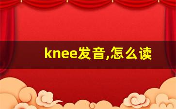 knee发音,怎么读,knee什么意思,knee例句用法-第1张图片-我的生活随想