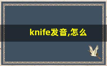 knife发音,怎么读,knife什么意思,knife例句用法-第1张图片-我的生活随想
