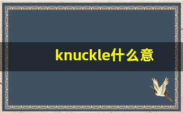 knuckle什么意思,knuckle中文翻译,knuckle用法及例句,knuckle怎么读-第1张图片-我的生活随想
