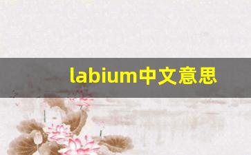 labium中文意思,labium中文翻译,labium用法及例句,labium语法-第1张图片-我的生活随想