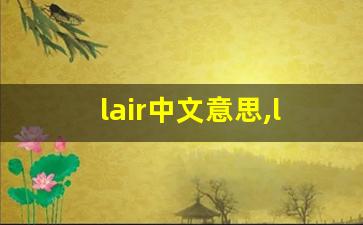 lair中文意思,lair中文翻译,lair用法及例句,lair语法-第1张图片-我的生活随想