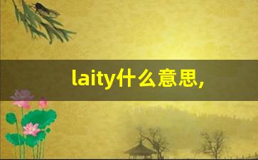 laity什么意思,laity中文翻译,laity用法及例句,laity怎么读-第1张图片-我的生活随想