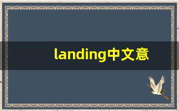 landing中文意思,landing中文翻译,landing用法及例句,landing语法-第1张图片-我的生活随想