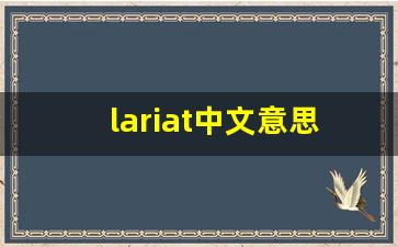 lariat中文意思,lariat中文翻译,lariat用法及例句,lariat语法-第1张图片-我的生活随想