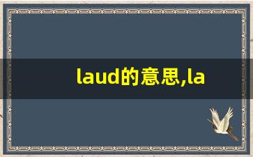 laud的意思,laud同义词,laud用法及例句,laud语法-第1张图片-我的生活随想