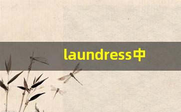 laundress中文意思,laundress中文翻译,laundress用法及例句,laundress语法-第1张图片-我的生活随想