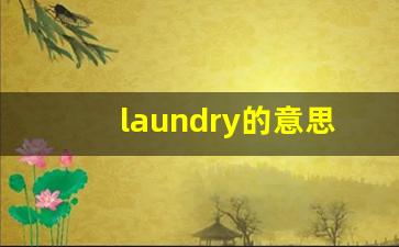 laundry的意思,laundry同义词,laundry用法及例句,laundry语法-第1张图片-我的生活随想