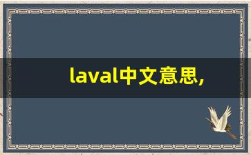 laval中文意思,laval中文翻译,laval用法及例句,laval语法-第1张图片-我的生活随想