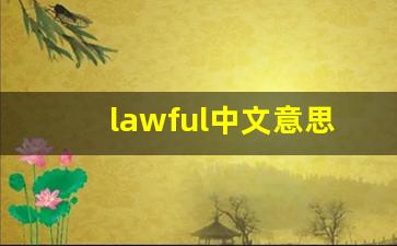 lawful中文意思,lawful中文翻译,lawful用法及例句,lawful语法-第1张图片-我的生活随想