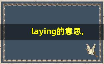 laying的意思,laying同义词,laying用法及例句,laying语法-第1张图片-我的生活随想