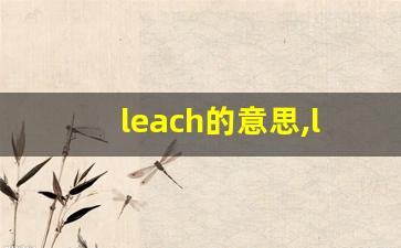 leach的意思,leach同义词,leach用法及例句,leach语法-第1张图片-我的生活随想