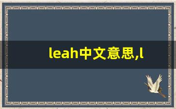 leah中文意思,leah中文翻译,leah用法及例句,leah语法-第1张图片-我的生活随想