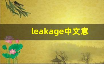 leakage中文意思,leakage中文翻译,leakage用法及例句,leakage语法-第1张图片-我的生活随想
