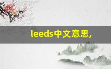 leeds中文意思,leeds中文翻译,leeds用法及例句,leeds语法-第1张图片-我的生活随想