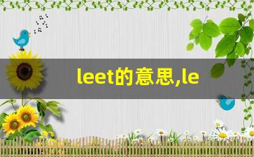 leet的意思,leet同义词,leet用法及例句,leet语法-第1张图片-我的生活随想