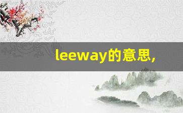 leeway的意思,leeway同义词,leeway用法及例句,leeway语法-第1张图片-我的生活随想