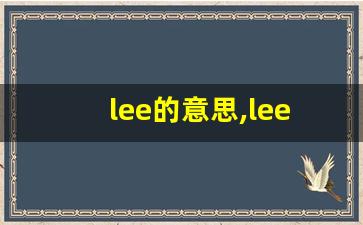 lee的意思,lee同义词,lee用法及例句,lee语法-第1张图片-我的生活随想