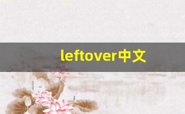 leftover中文意思,leftover中文翻译,leftover用法及例句,leftover语法-第1张图片-我的生活随想