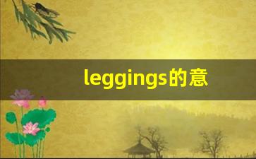leggings的意思,leggings同义词,leggings用法及例句,leggings语法-第1张图片-我的生活随想