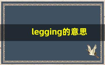 legging的意思,legging同义词,legging用法及例句,legging语法-第1张图片-我的生活随想