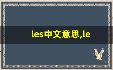 les中文意思,les中文翻译,les用法及例句,les语法-第1张图片-我的生活随想