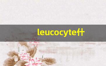 leucocyte什么意思,leucocyte中文翻译,leucocyte用法及例句,leucocyte怎么读-第1张图片-我的生活随想