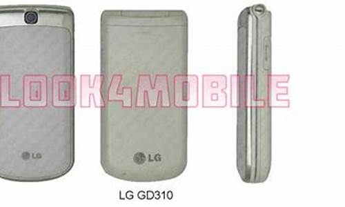 lggd310_lggd310怎么看小说