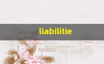 liabilities什么意思,liabilities中文翻译,liabilities用法及例句,liabilities怎么读-第1张图片-我的生活随想