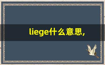 liege什么意思,liege中文翻译,liege用法及例句,liege怎么读-第1张图片-我的生活随想