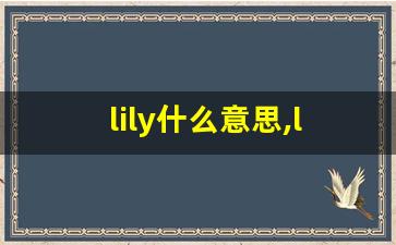 lily什么意思,lily中文翻译,lily用法及例句,lily怎么读-第1张图片-我的生活随想