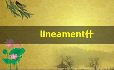 lineament什么意思,lineament中文翻译,lineament用法及例句,lineament怎么读-第1张图片-我的生活随想