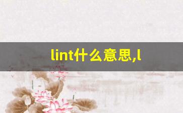 lint什么意思,lint中文翻译,lint用法及例句,lint怎么读-第1张图片-我的生活随想