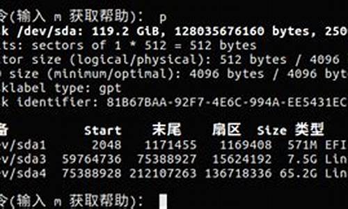 linux磁盘格式化命令_linux格式化整个磁盘的命令