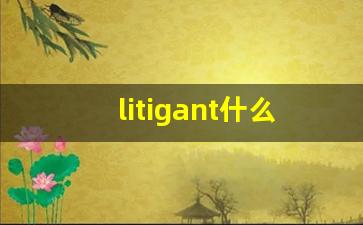 litigant什么意思,litigant中文翻译,litigant用法及例句,litigant怎么读-第1张图片-我的生活随想